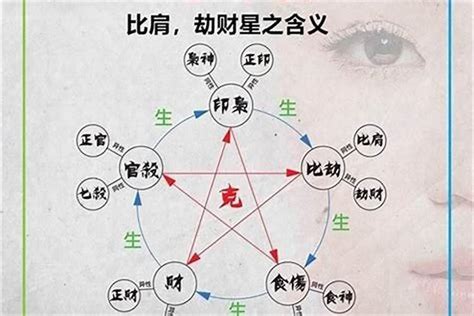 五行十神|八字算命基础——十神详解